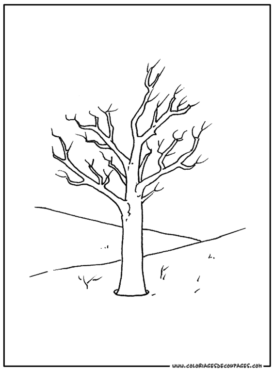Árbol #26985