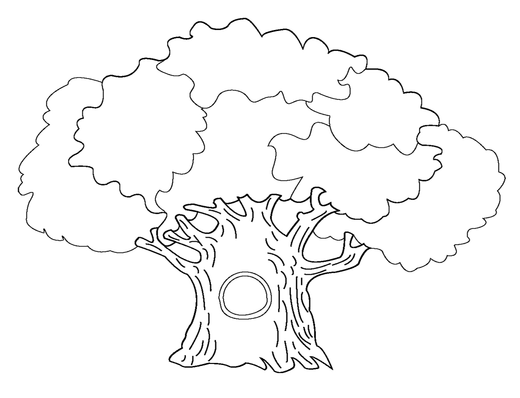 Árbol #26986