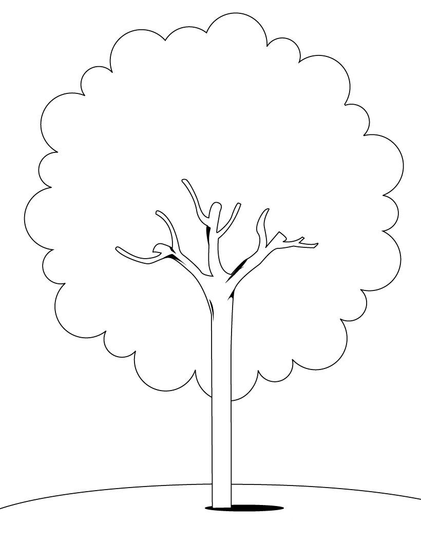 Árbol #26989