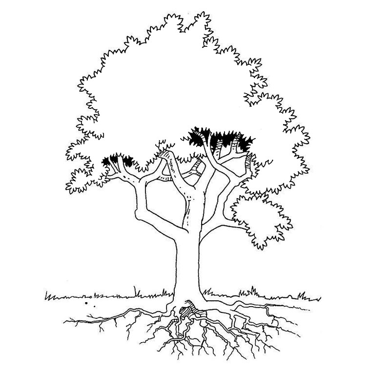 Árbol #26990