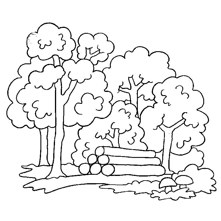 Árbol #26992