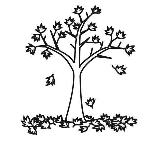 Árbol #26995