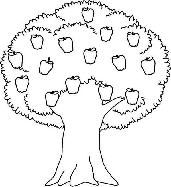 Árbol #27000