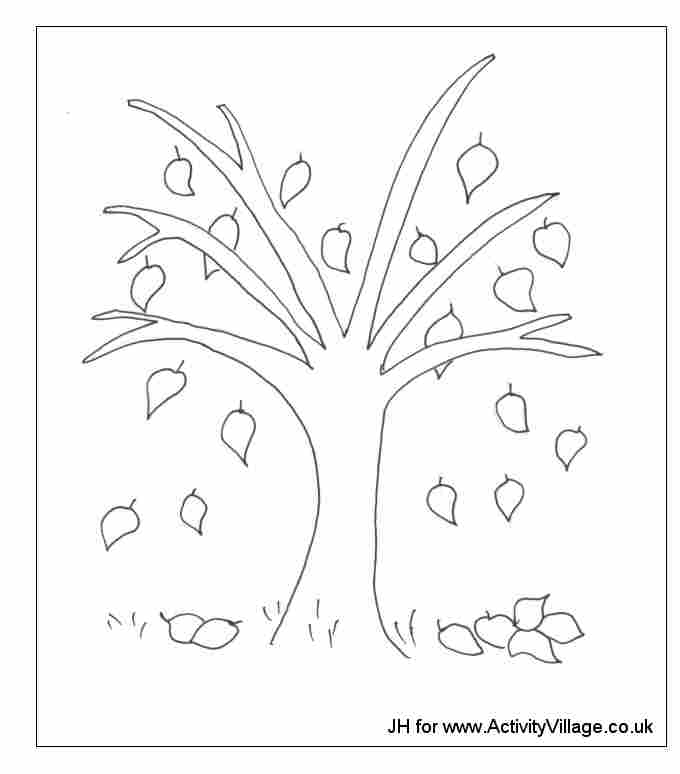 Árbol #27001