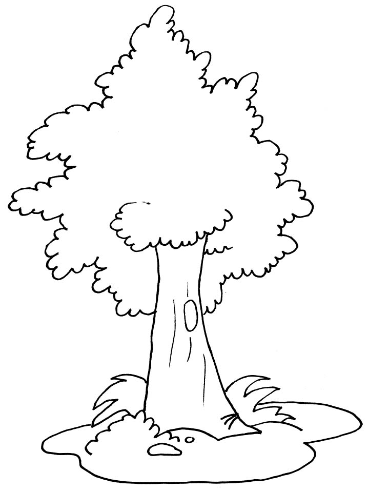 Árbol #27002