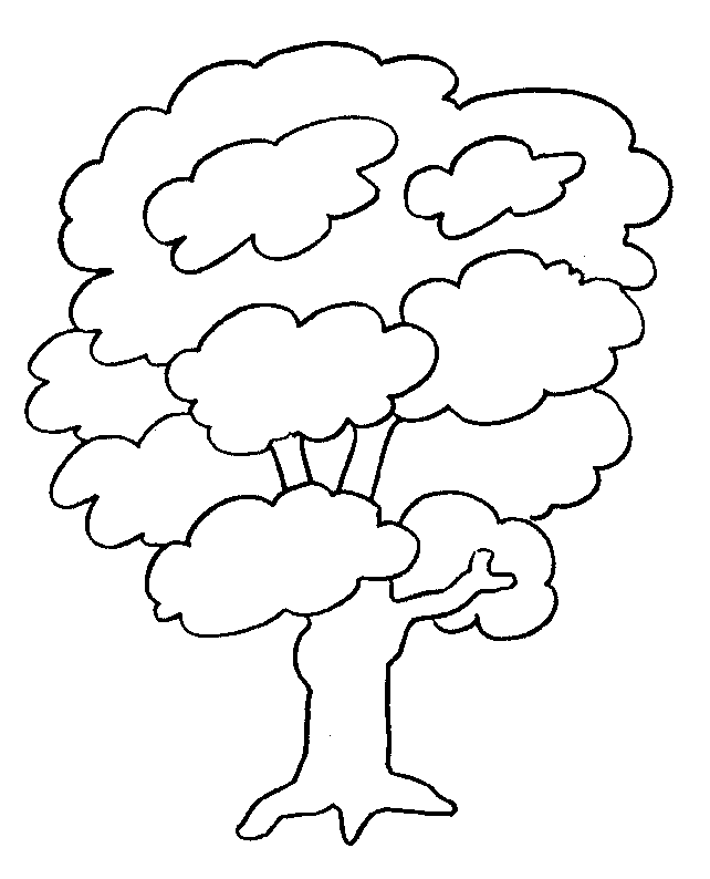 Árbol #27008