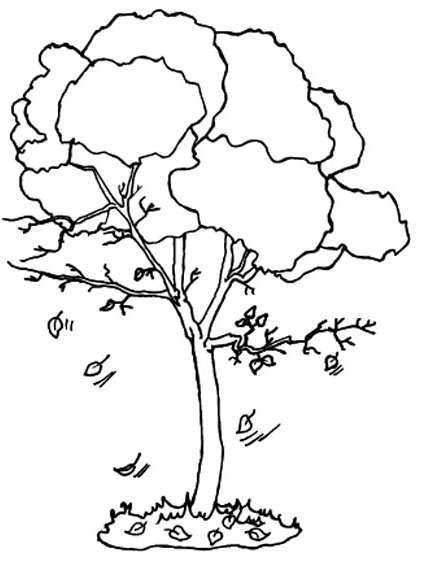 Árbol #27009