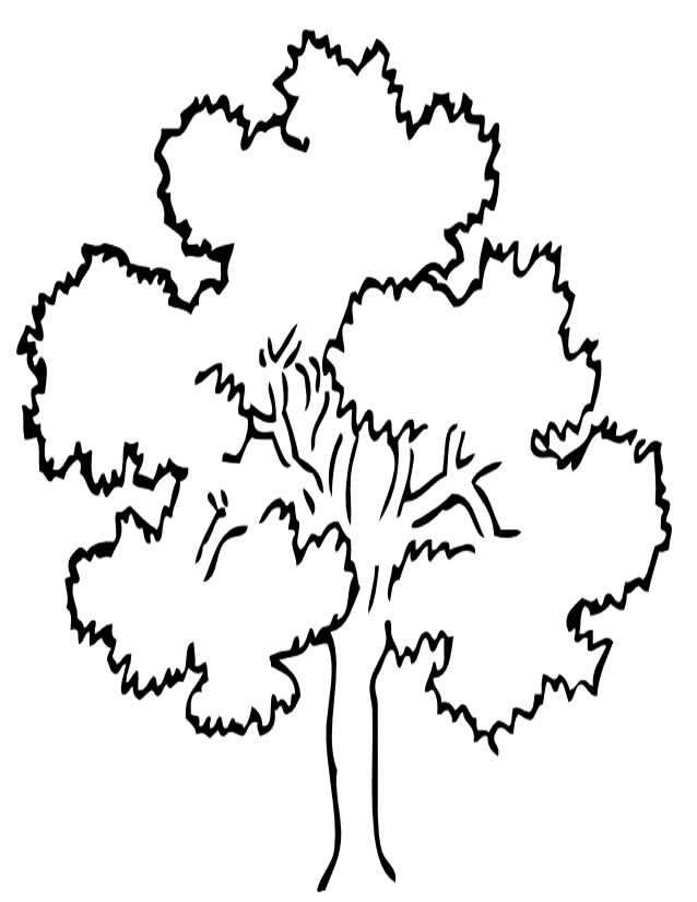 Árbol #27012