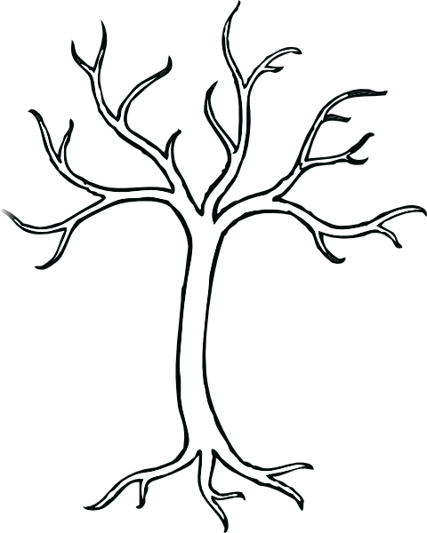 Árbol #27013