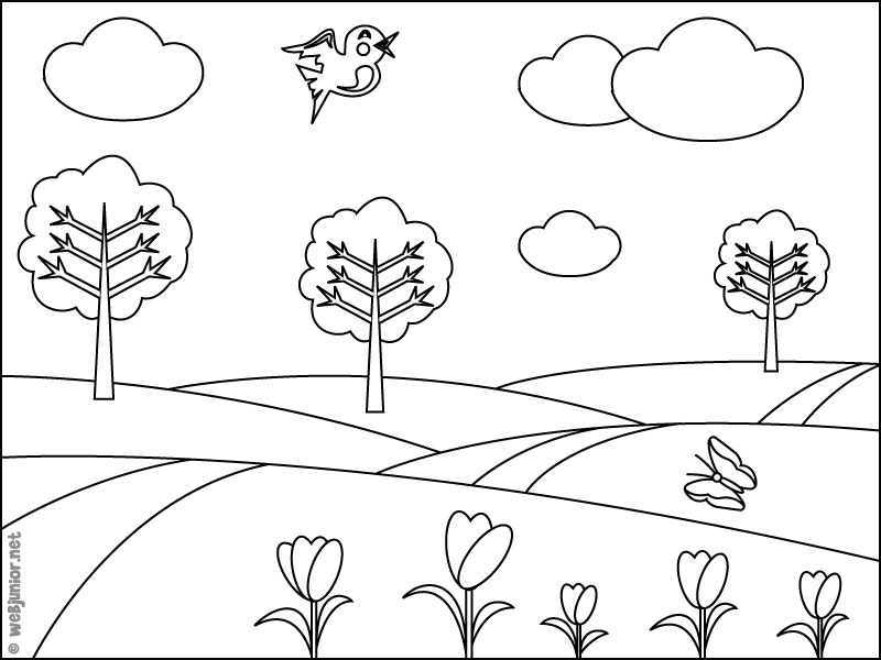 Árbol #27015