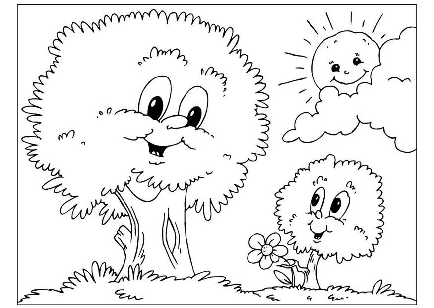 Árbol #27017