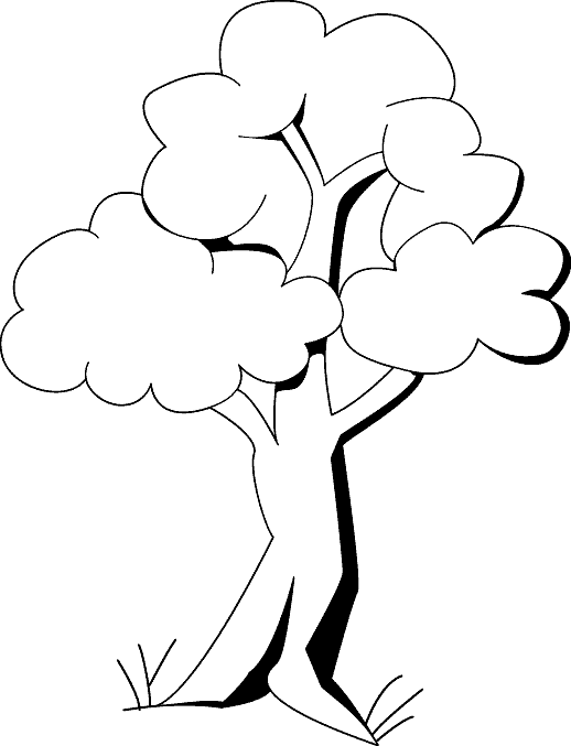 Árbol #27019