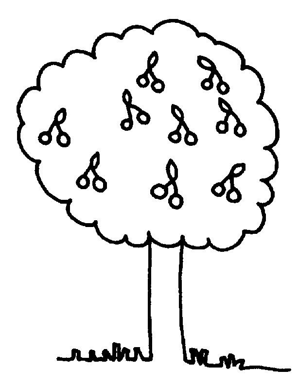 Árbol #27020