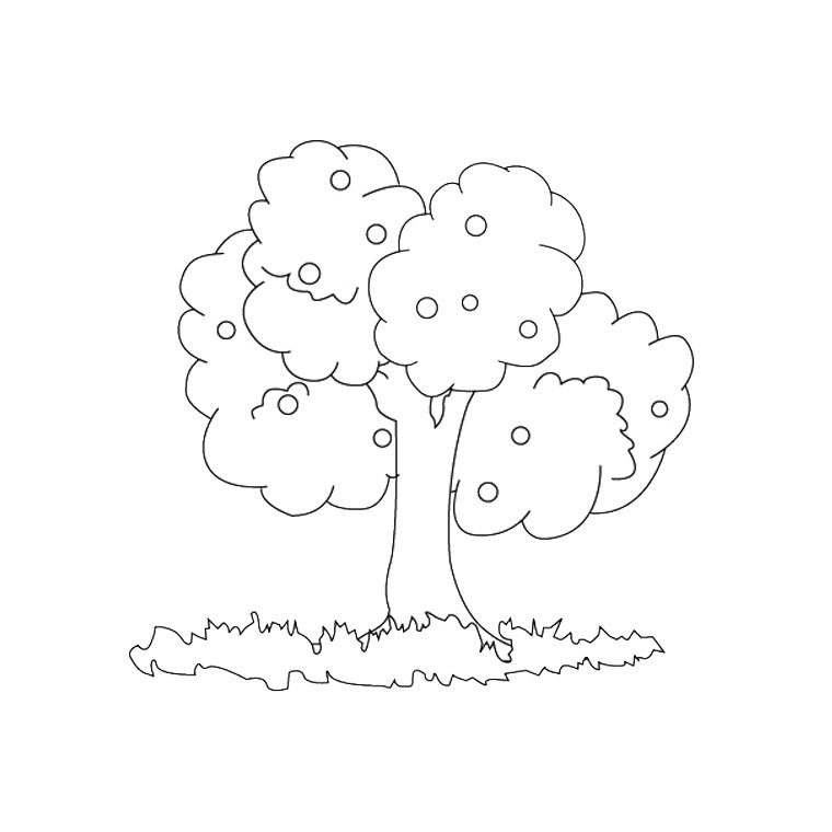 Árbol #27021