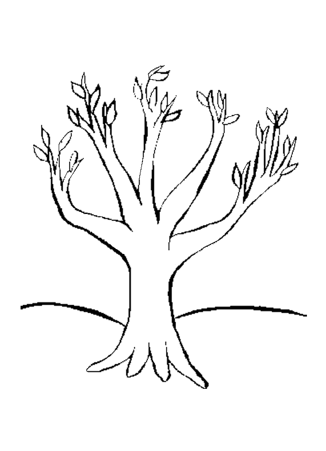Árbol #27025
