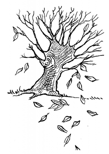 Árbol #27029