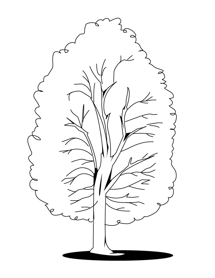 Árbol #27038