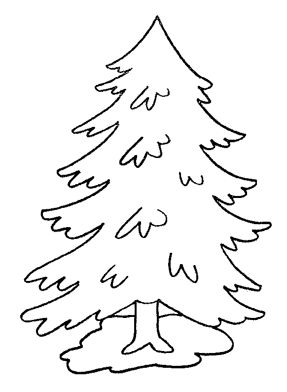 Árbol #27039