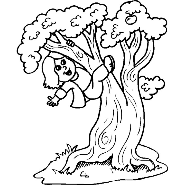 Árbol #27040