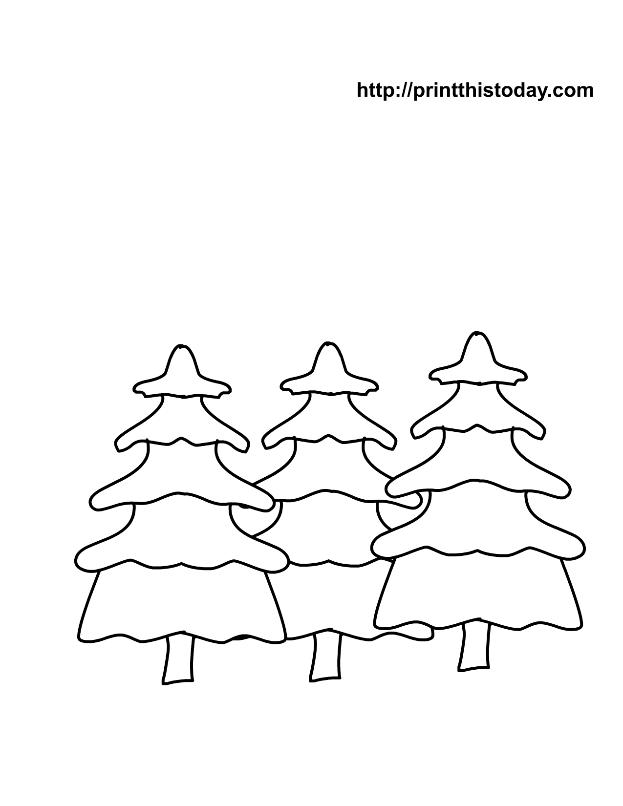 Árbol #27041