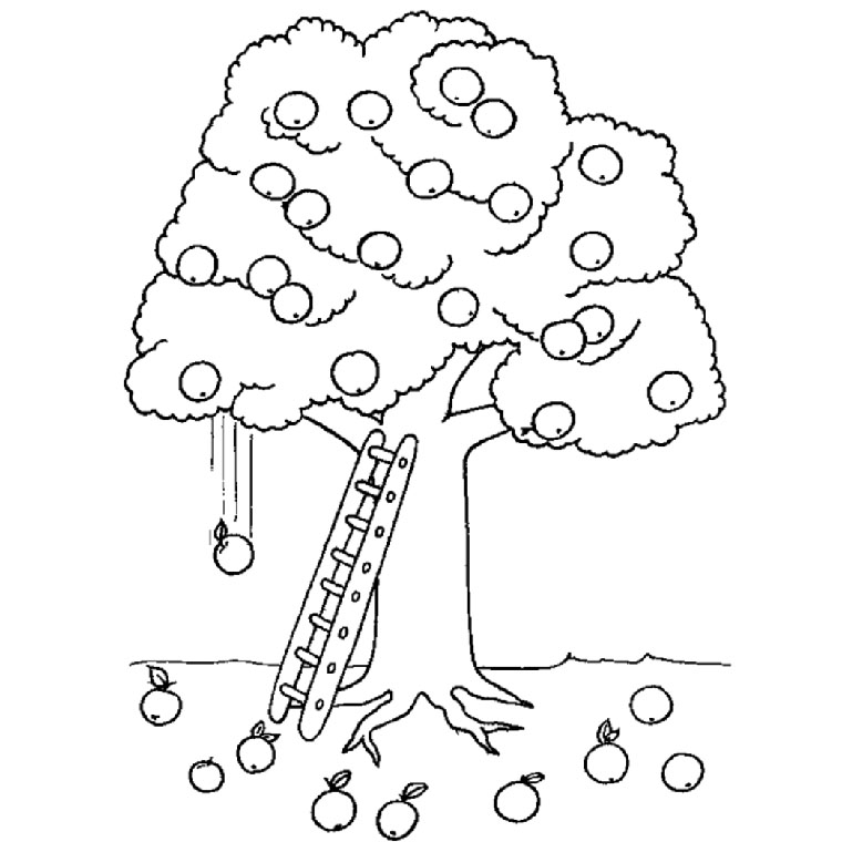 Árbol #27042