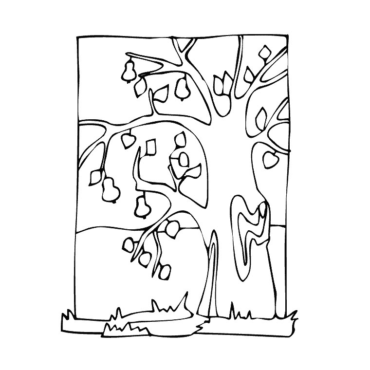 Árbol #27044