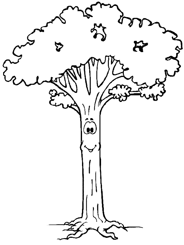 Árbol #27045