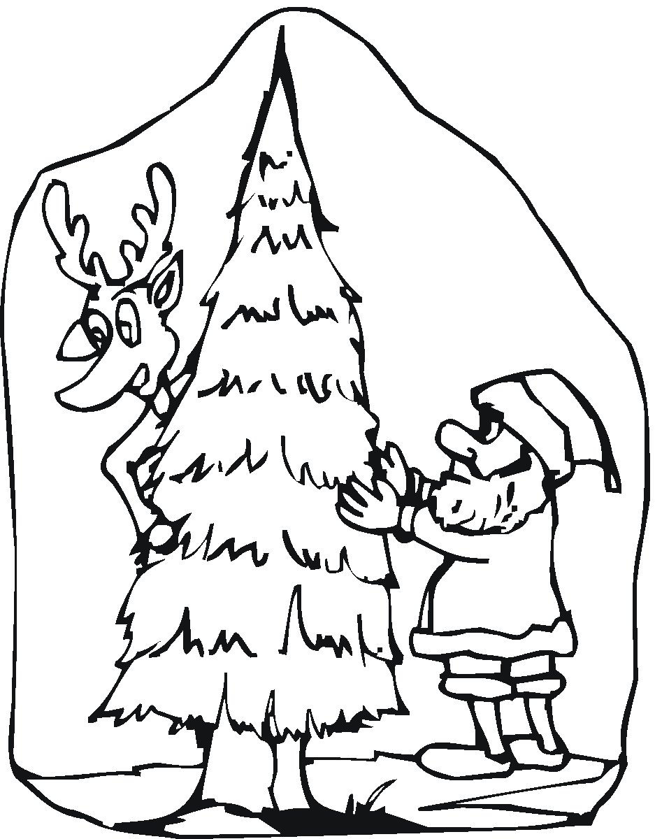 Árbol #27049