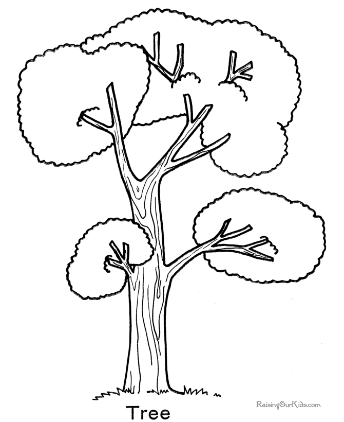 Árbol #27050