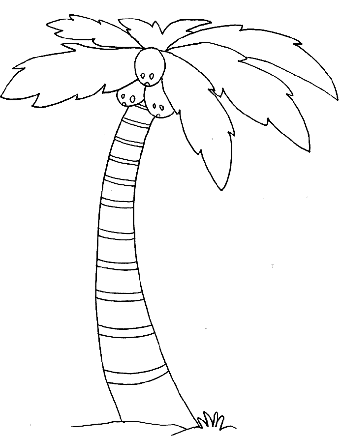 Árbol #27052