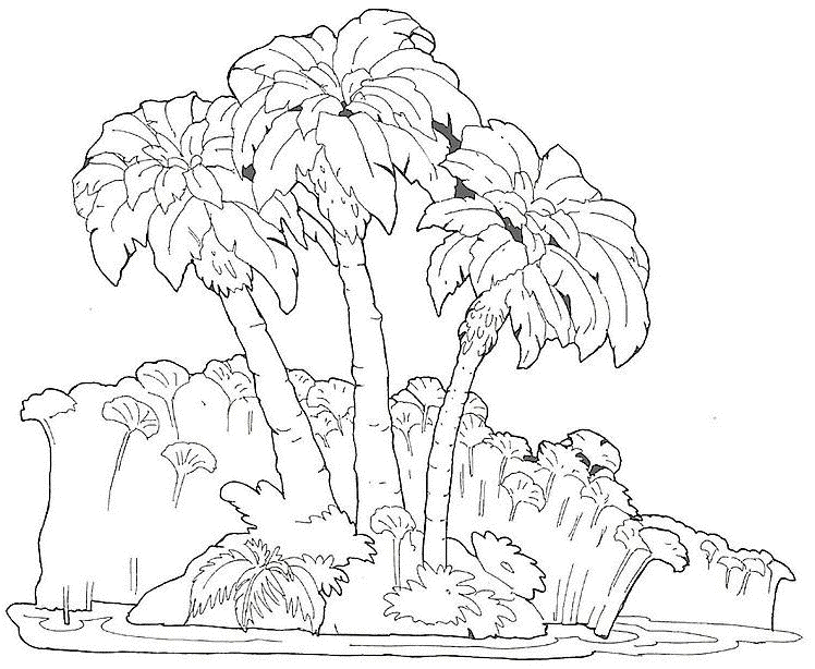 Árbol #27060