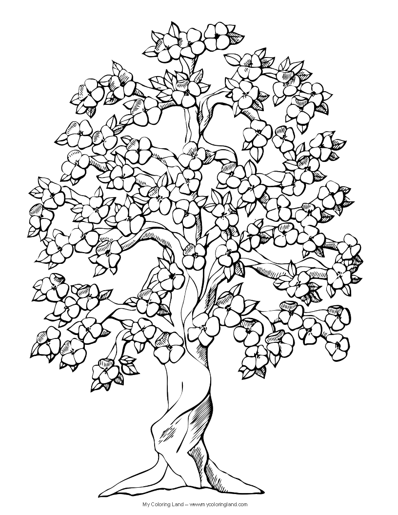 Árbol #27061