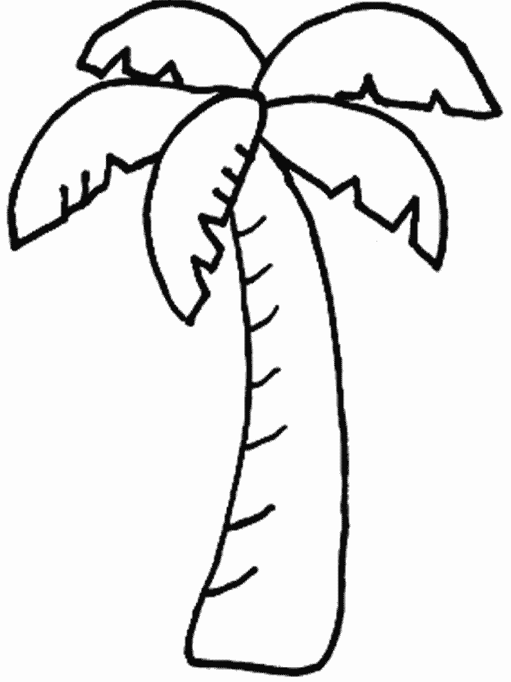 Árbol #27062