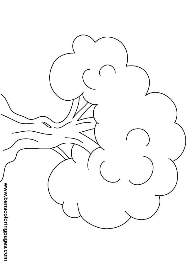 Árbol #27063