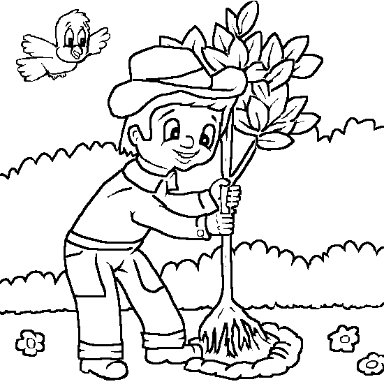 Árbol #27065