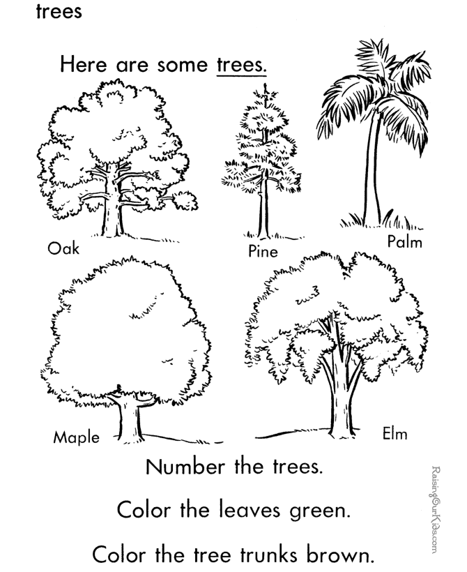 Árbol #27067