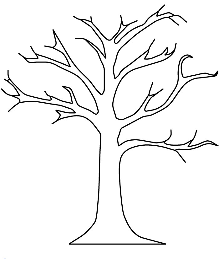 Árbol #27072