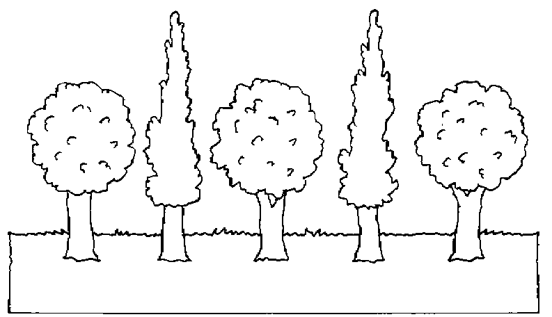Árbol #27074