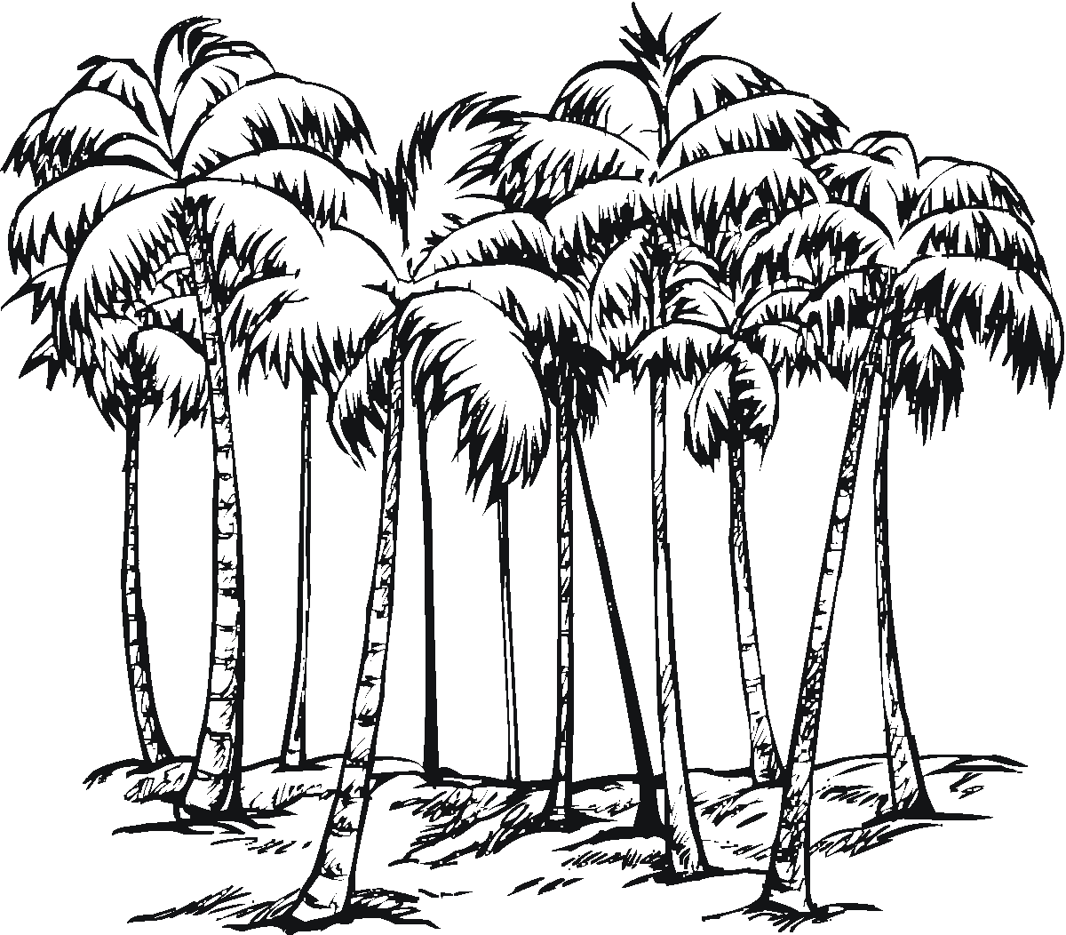 Árbol #27075