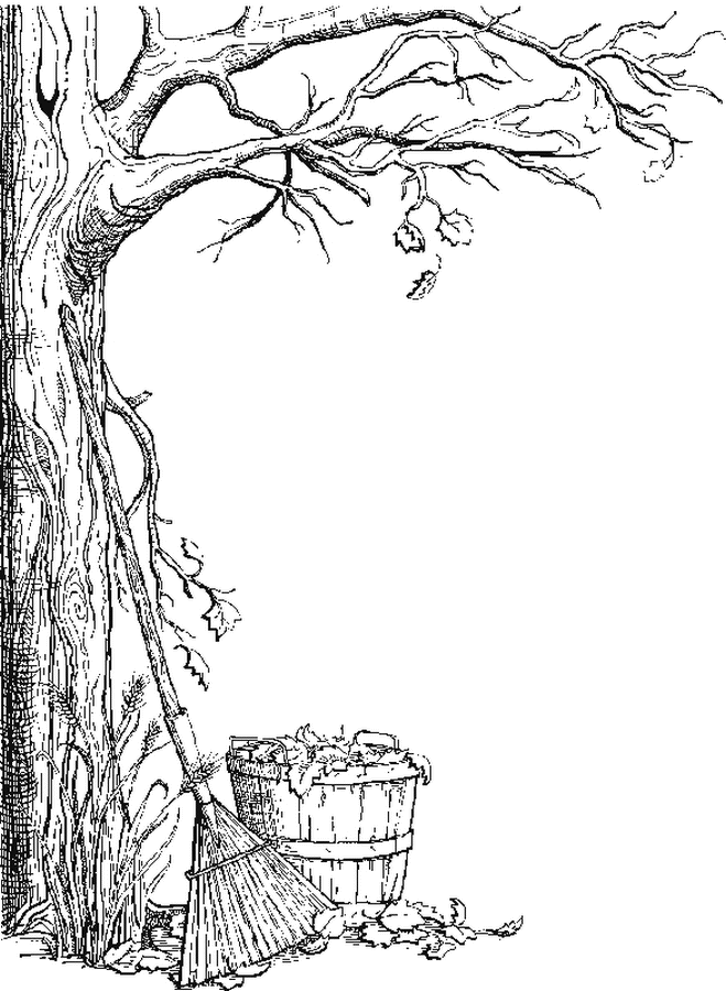 Árbol #27076