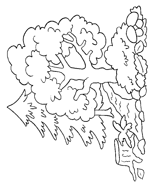 Árbol #27077