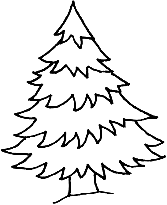 Árbol #27078