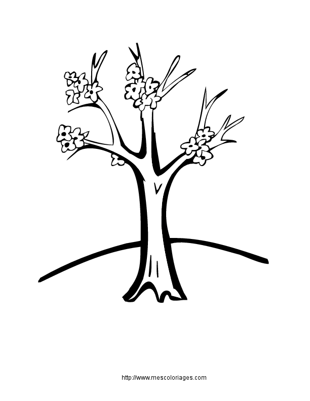 Árbol #27079