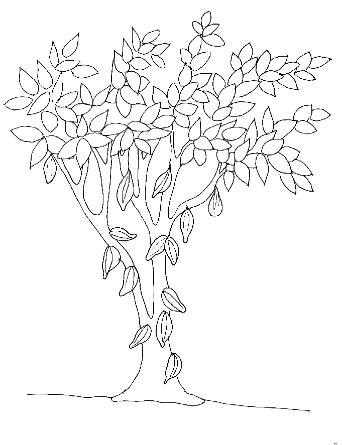 Árbol #27083