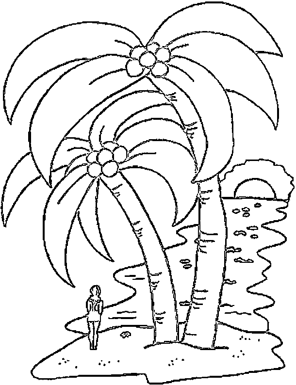 Árbol #27089