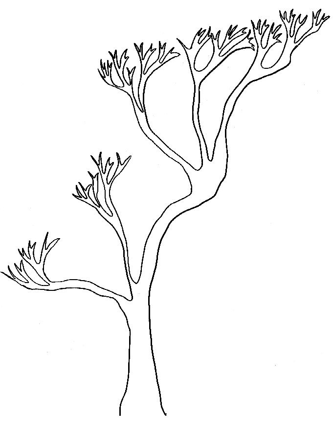Árbol #27091