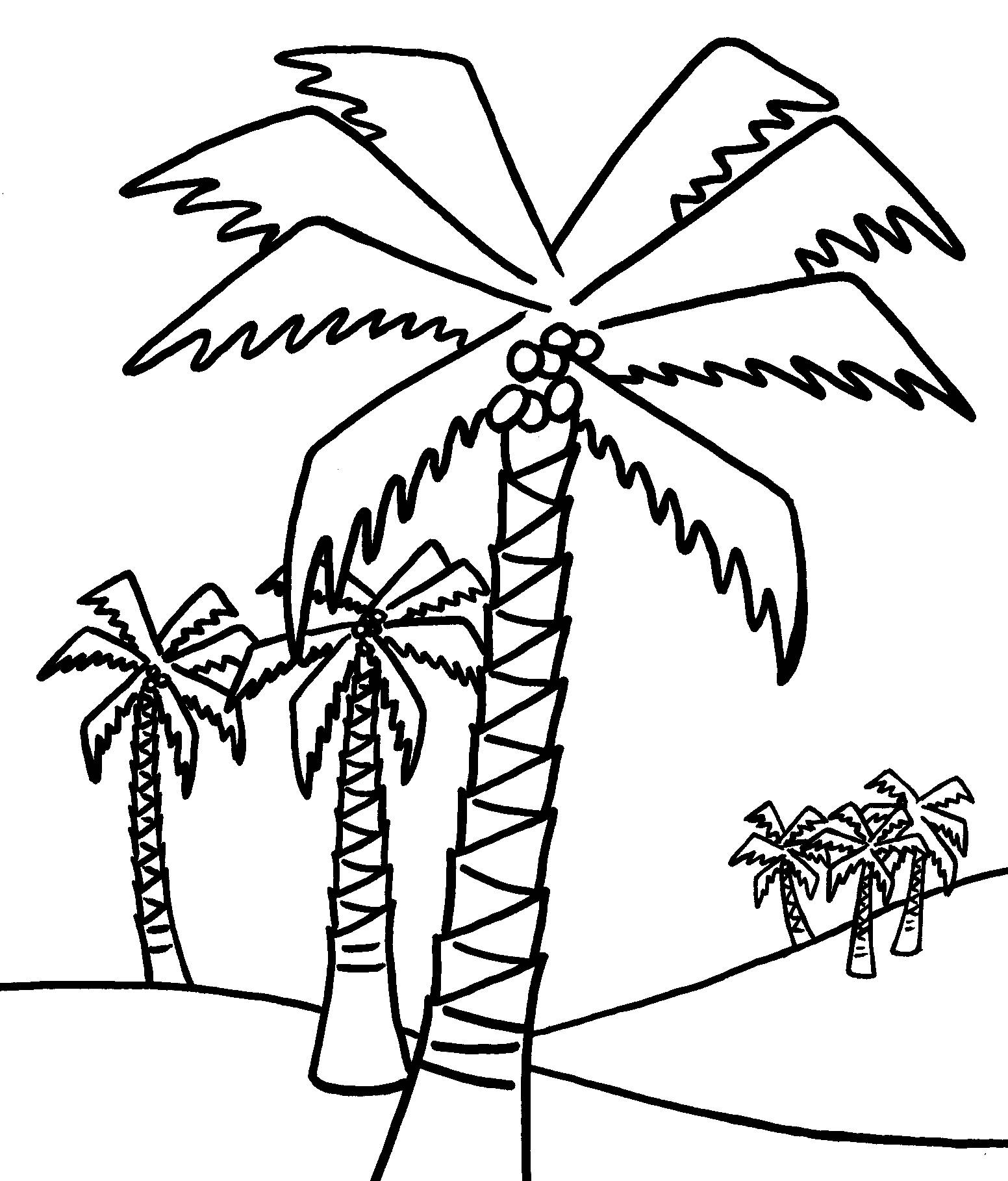 Árbol #27095