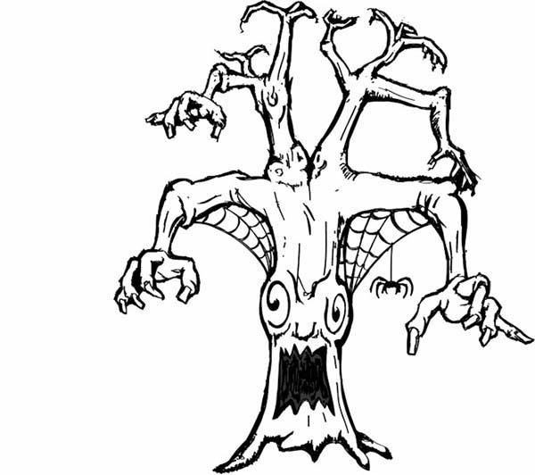 Árbol #27102