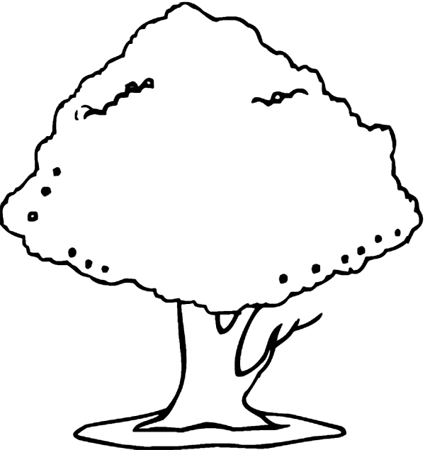 Árbol #27103