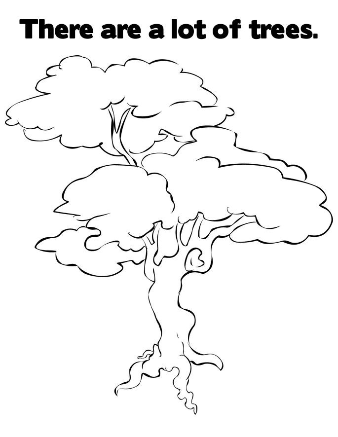 Árbol #27104